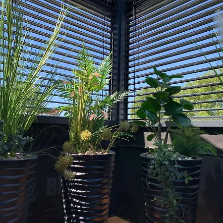 Lans Spa Sauerland Lägenhet *