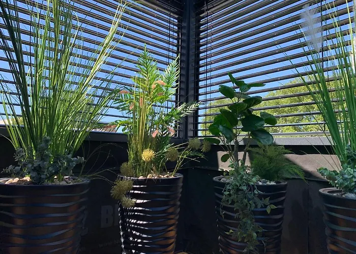 Lans Spa Sauerland 아파트 *